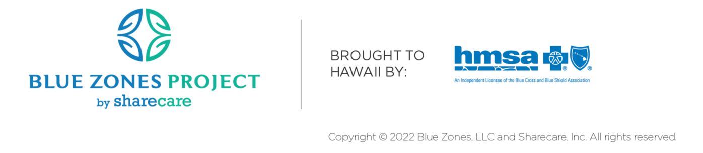 BZP_HMSA Logo Lockup_Stacked_Color-1