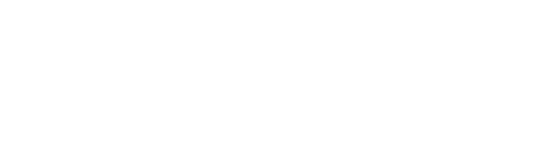 BZP_Logo_UNSTACKED_REVERSED(logo only)-2