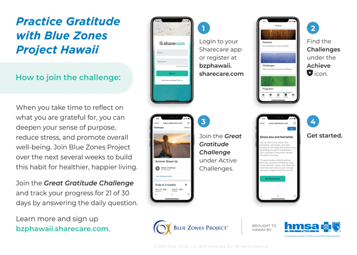 Great Gratitude Challenge Instructions