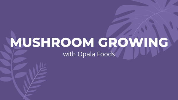 Mushroom Growing