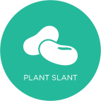 Plant-slant-front-sm