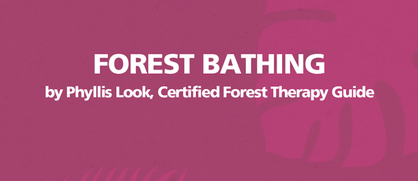 Forest Bathing